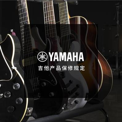 吉他、贝斯和音箱